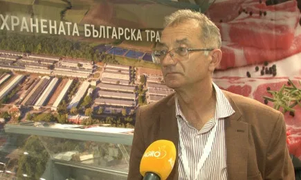 Нашият сектор трябва да бъде обявен в криза и тогава могат да се ползват нотифицирани помощи, казва Вихрен Димитров, изпълнителен директор на свинекомплекс в с. Голямо Враново