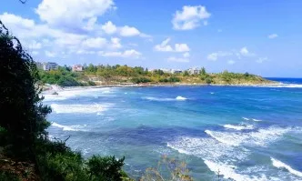 Жълт код за опасно силен вятър в 24 области на страната