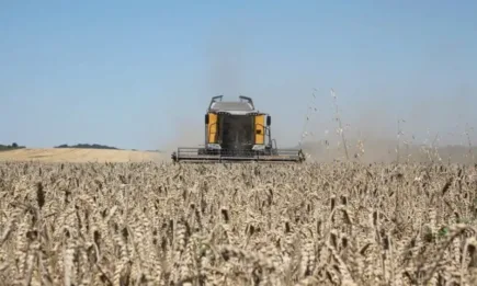 Русия заяви, че удължаването на зърненото споразумение е малко вероятно