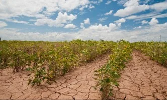 Изменението на климата застрашава земеделието