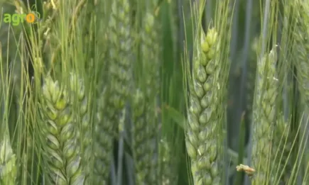 Агро Арена 2023 на Байер в Каспичан