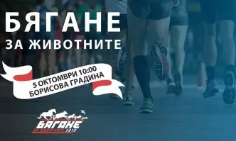 Благотворително бягане в защита на животните