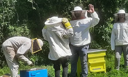 Да направиш мед, да отгледаш шафран