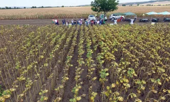 Силата на Еуралис е в хибридите от клиърфийлд плюс технологията!