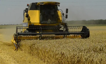 На Софийска стокова борса в подкръг Зърно търговците не бяха много активни