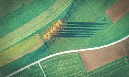 ДФ Земеделие изплати над 660 млн. лева по СЕПП за Кампания 2022