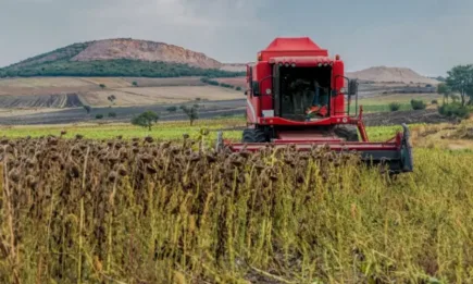 Председателят на НАЗ: Отварянето на вноса от Украйна е неприемлив вариант