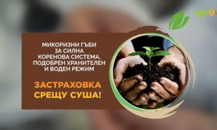 Кайзен и МикоАплай – решения за борба със сушата от Суммит Агро