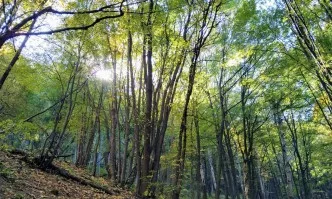 Инж. Мариян Костадинов е новият директор на Регионална дирекция по горите – Бургас