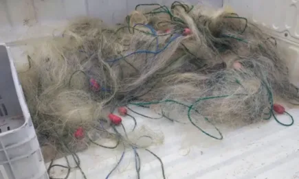 Проверки на язовир Тича и река Дунав