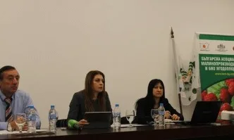 Зам.-министър Кръстева: Производството на малини бележи 30% ръст спрямо миналата година
