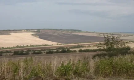 Половината територия на ЕС е застрашена от суша