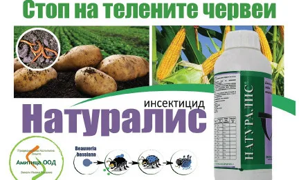 Натуралис - в Националната програма от мерки за контрол на телените червеи при картофите!