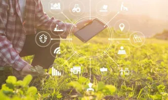 Проекти на мерки за консултантски услуги и професионално обучение бяха дискутирани от Тематичната работна група