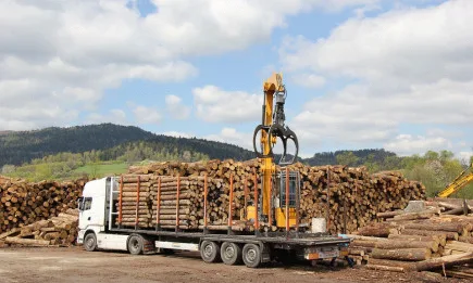 Повече от 6400 проверки извършиха държавните горски предприятия и Изпълнителната агенция в последните 4 дни