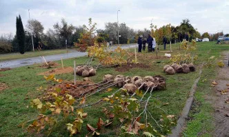 250 дръвчета засадиха в Тракийски университет – Стара Загора