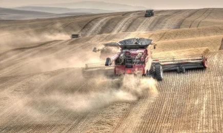 Изненадващ доклад за засетите площи от царевица и соя в САЩ