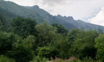 WWF отбелязва Петъка на FSC на Европейската нощ на учените