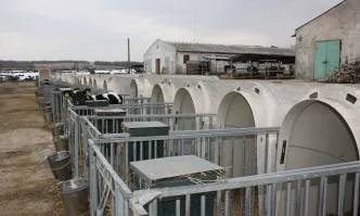 През 2020 г. ще стартират целеви приеми по три подмерки по ПРСР за повишаване на биосигурността в животновъдните стопанства