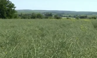 Как да вземем максимума от рапицата