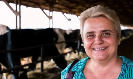 За боричкания няма време, време е за експертност