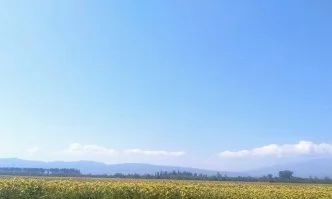 МЗХГ публикува оперативен анализ за основните земеделски култури