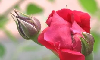 Как Европа подпомага селския туризъм и развитието на регионите