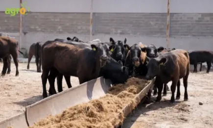 ИПЖЗ – Троян представи опитно-експерименталната си база пред студенти от Тракийския университет