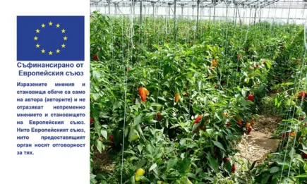 За кои култури, отглеждани в оранжерии, може да получите обвързана подкрепа