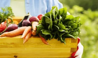 Да има обратно начисление на ДДС за плодове, зеленчуци и сурово мляко