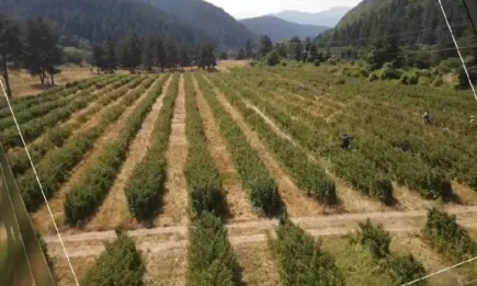 Подкрепете каузата БИО!