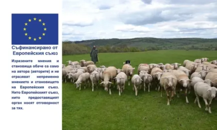 Аделина Стоянова: Нашата цел не е да санкционираме фермерите, а парите да се дават на фермерите по правилата