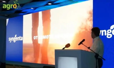 Кои хибриди при пролетните култури са най-предпочитани от земеделците?