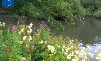 Европейски политики за опазване на биоразнообразието