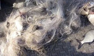 Планирана проверка на сектор рибарство и контрол Бургас