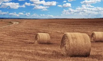 Засилен интерес по подмярка 6.3 Стартова помощ за развитието на малки стопанства