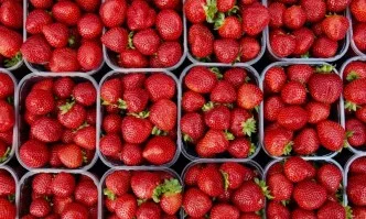 С 18,6 млн. лева се увеличава бюджетът за съхранение на плодове и зеленчуци за 2020 г.