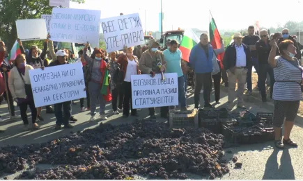 Лозари протестират, ИАЛВ не ги подкрепя напълно