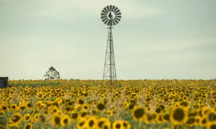 Горещо и сухо в края на юли