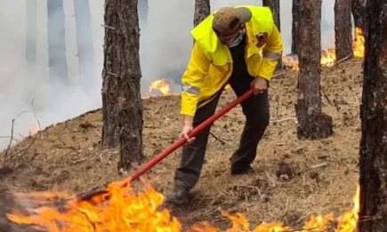 Август е най-пожароопасният месец, показва статистика на ИАГ