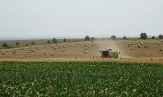 Синджента - на живо от полето