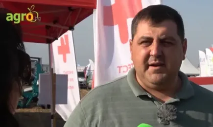 Есенна кампания: Батъл Делта – вашето решение срещу смесено заплевеляване в житни култури