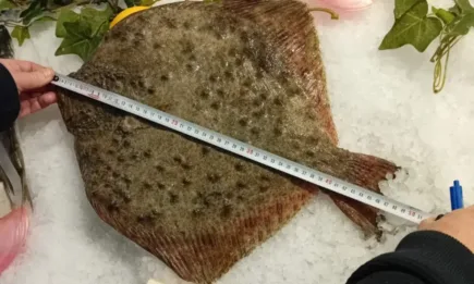 Съвместни проверки на ИАРА и БАБХ