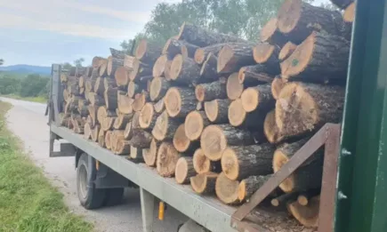 Екип на ИАГ разкри измама с превозни билети