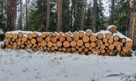 Засилените проверки в горските територии на страната продължават