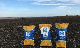 Отстъпки до 25 лв./торба при заявка на семена царевица от SOUFFLET SEEDS до 31.12.2020 г.