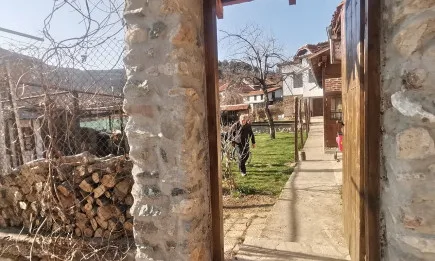 Изложбата