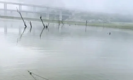 Инспектори от ИАРА - Варна хванаха нарушител, продаващ риба в собствената си кола