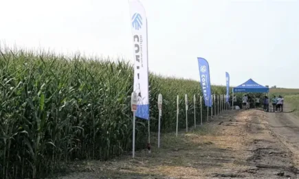 Татяна Динева, агроном: Най-добри резултати получаваме от хибридите Пионер