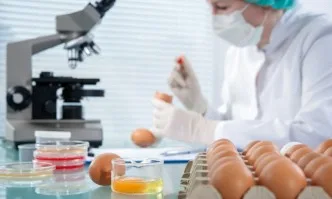 Установени са рекорден брой нарушения в Германия